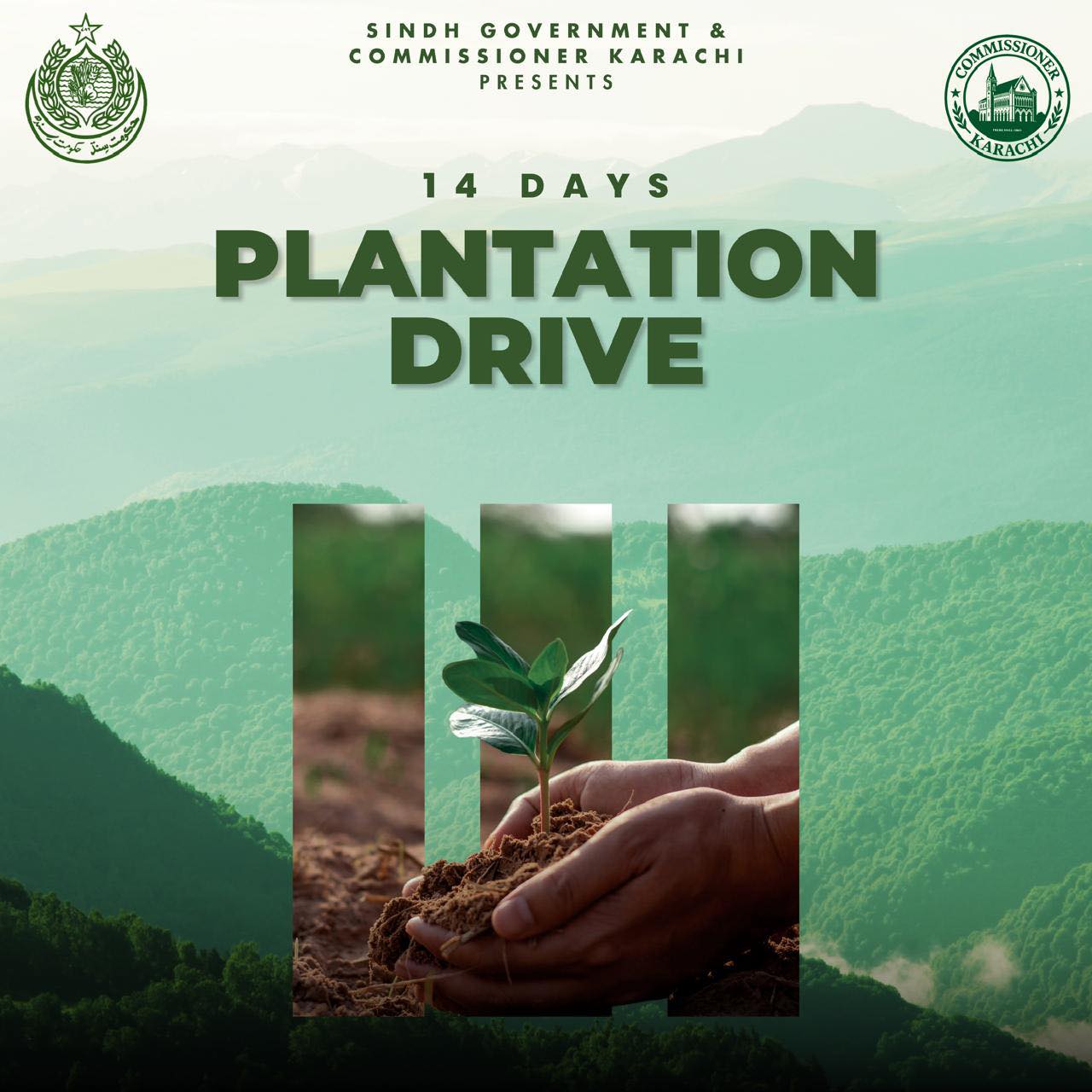 Plantation Drive